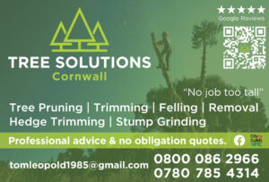 Cyc 16 -TREE SOLUTIONS - V8