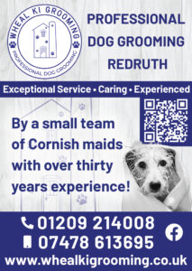 Cyc 19 - Wheal Ki Grooming - V4