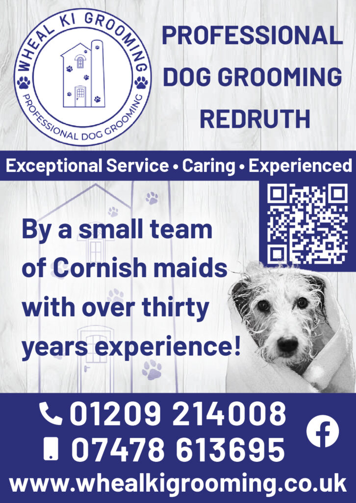 Cyc 19 - Wheal Ki Grooming - V4