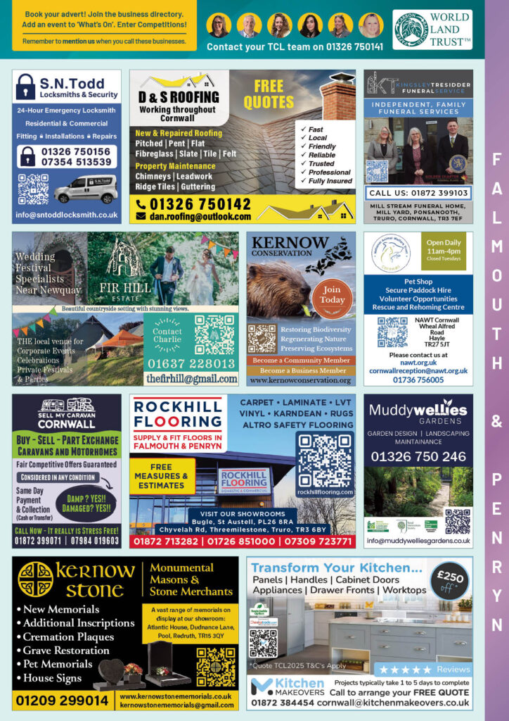 08 Falmouth & Penryn2