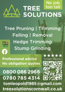 Cyc 20 - 16th Tree solutions - V9