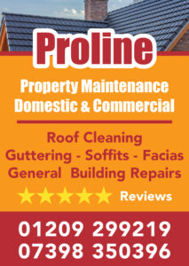 Cyc 21 - Proline Property Maintenance - AD - V1