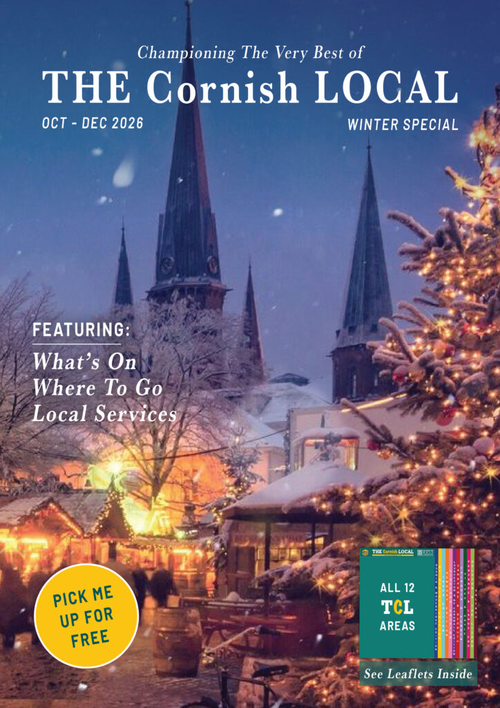 MOCK WINTER COVER V1