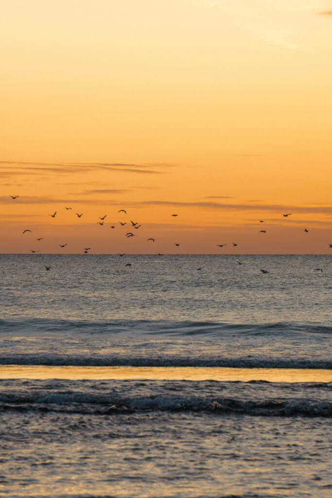 camborne camborne