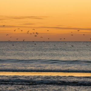 camborne