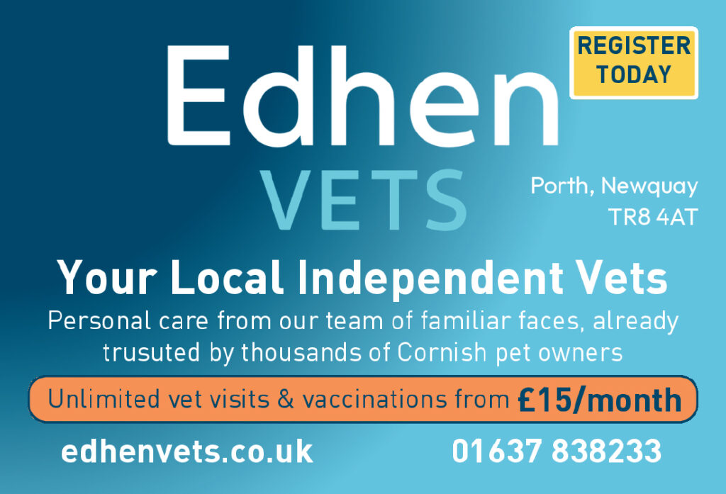 Cyc 23 - KB - Eden Vets - Their Artwork